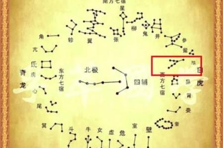 紫薇斗数星宿详解