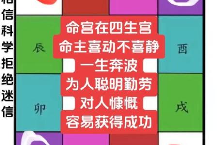 紫微斗数陀罗在命宫的重要性及解读