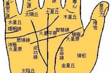 掌纹算命图解 通过手相看智慧