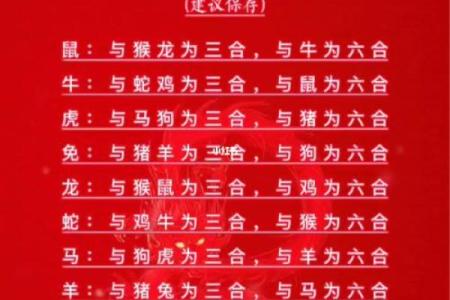 1981年属什么生肖配对