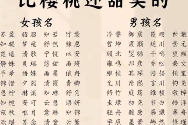 小孩起名生辰八字取名