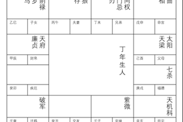 紫薇斗数丁年