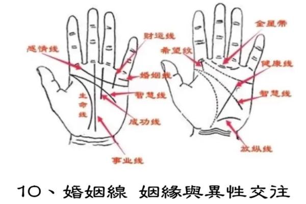 《手相学习百科》：手相看财运和好运