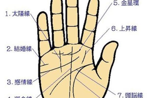 《手相学习百科》：手相看财运和好运
