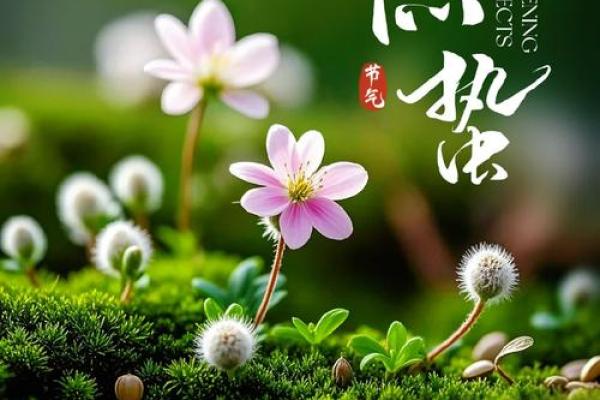 黄历惊蛰是什么意思,运气好命短
