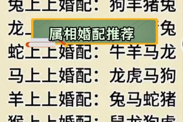属狗正缘出现在哪年 属狗人婚姻配对表