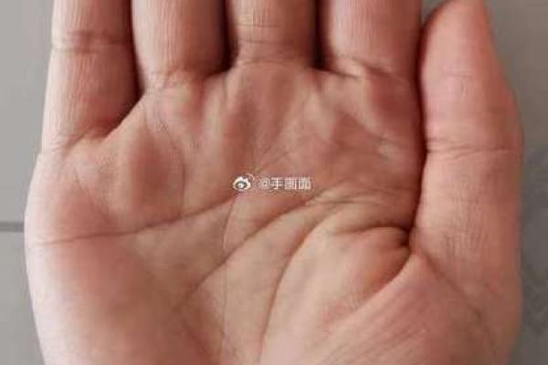 《手相学习百科》:掌丘 《手相学习百科》:掌丘