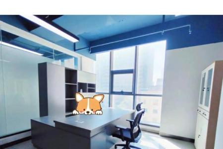 办公室风水布局_单人办公室摆放布局