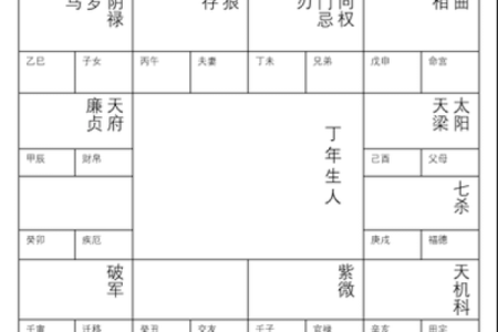 紫薇斗数丁年