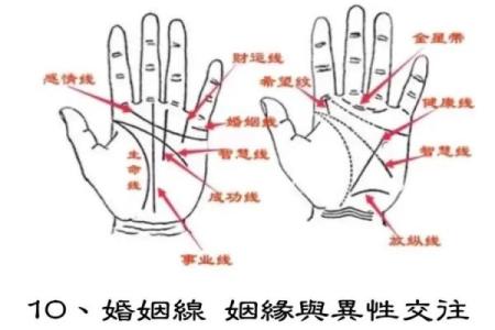 《手相学习百科》：手相看财运和好运