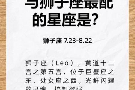哪个星座最鲁莽？排名揭晓！