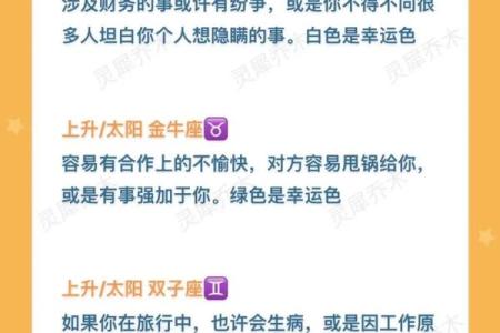 11月25日是什么星座