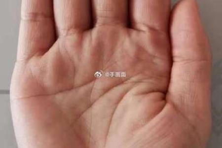 《手相学习百科》：掌丘