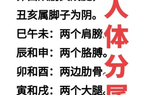 八字命理测试分析