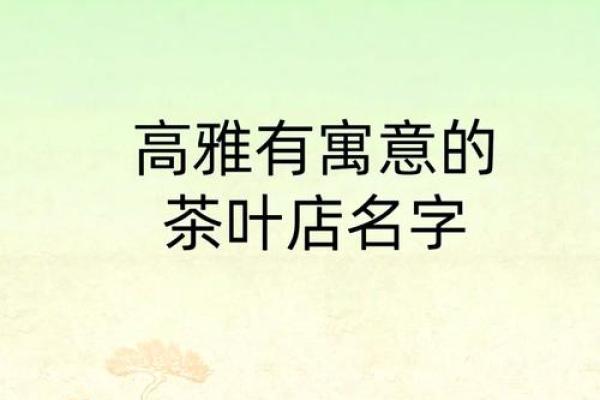 茶叶店名字大全-名字大全姓名