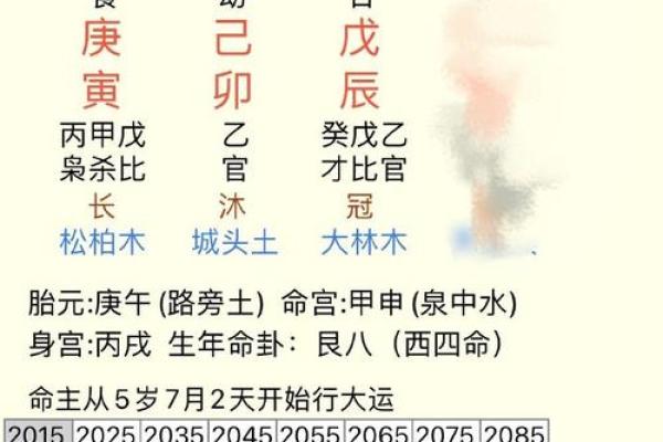 王子八字