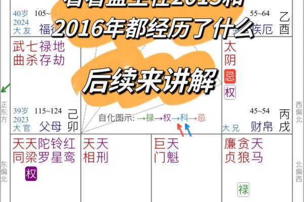 倪海厦紫薇斗数案例10