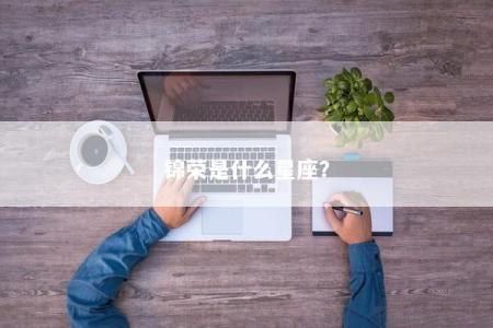 锦荣是什么星座？