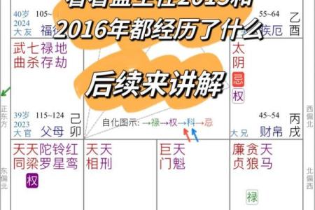 倪海厦紫薇斗数案例10
