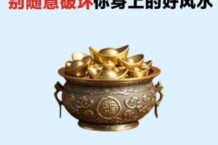 什么风水_风水绝佳什么意思