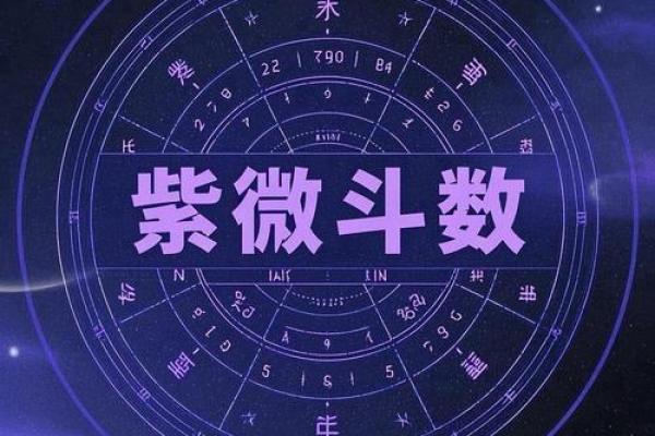 紫薇斗数紫薇星财锦