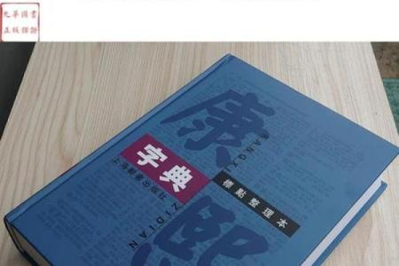 “精字典”：一本收录千万精彩含义的百科全书