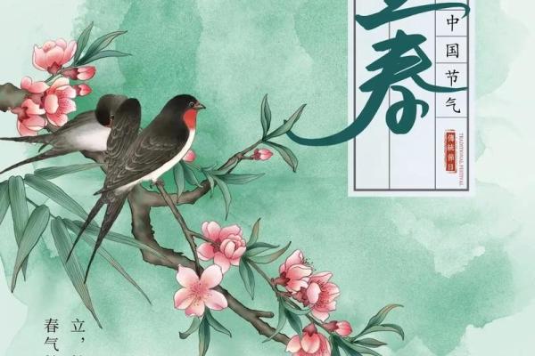 什么是立春的风水