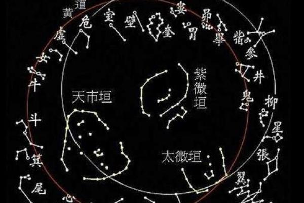 紫微斗数怎么确定紫薇星的位置