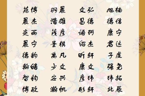 2019年5月18号寅时出生的男孩要怎么起名字姓名