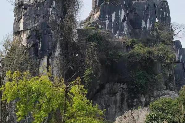 大富贵坟地风水顺口溜