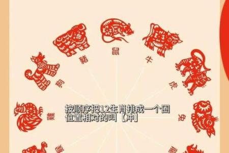 生肖配对什么生肖最好 最好的生肖组合