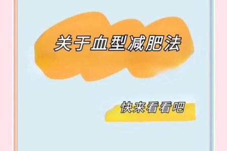 血型人吃对食物倍儿瘦