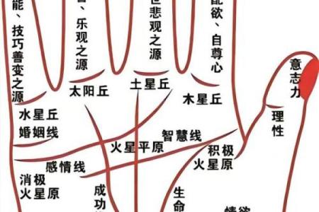 指纹算命图谱