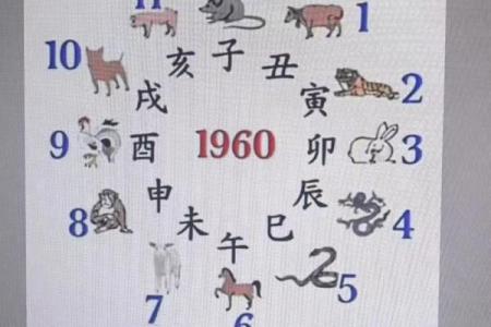 紫薇斗数看讨债