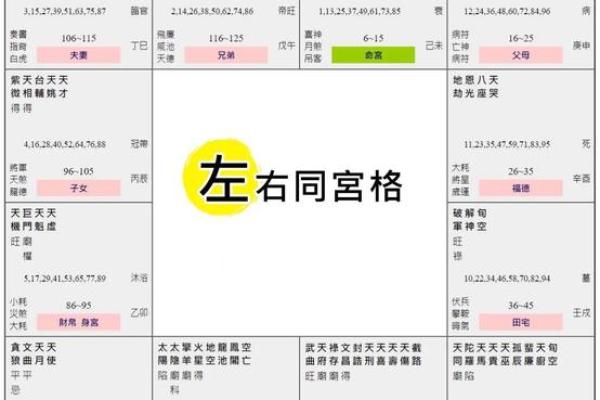 猪猪紫微斗数 紫微斗数在线排盘免费解析？