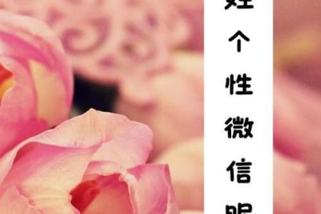 宋姓女孩名字大全-宋姓女孩起名字大全-宋姓名字大全姓名