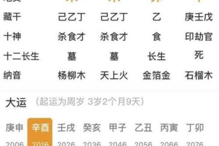 八字看庚申大运好坏