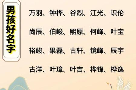 2019年3月13号子时出生的男孩如何起名姓名