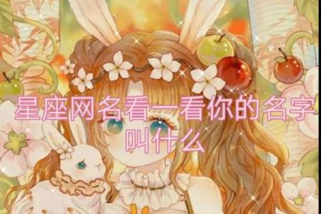 十二星座是最适合的网名