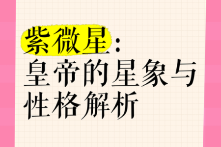紫薇斗数app帝王