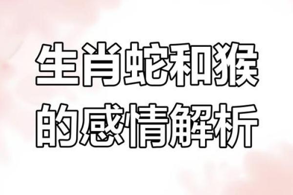 生肖配对：属猴的和什么属相最配