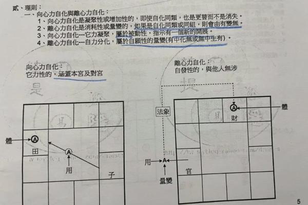 紫薇斗数生年自化