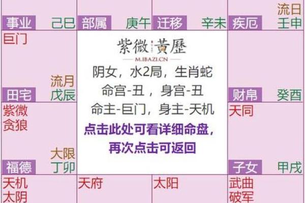 紫薇斗数生年自化