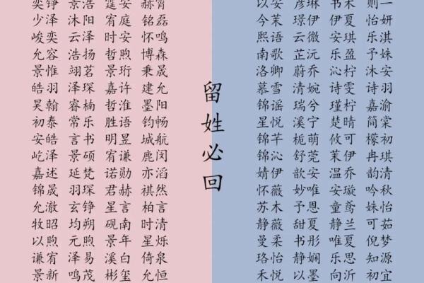晚上十一点出生的属羊男孩起什么名，应用什么字姓名