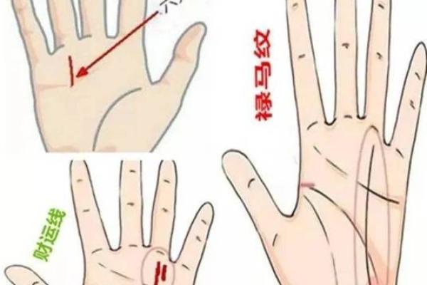 《手相学习百科》：双手之间的差异