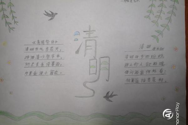 我们的节日：清明节气，做什么