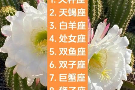 最适合当主角的星座 喜欢把自己当主角的星座
