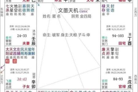 紫微斗数诸星落诸宫之，天梁星：阳土疾厄宫详解