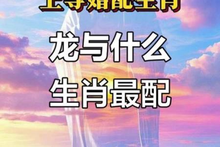 2000属龙女孩最佳婚配 与什么生肖配对最幸福