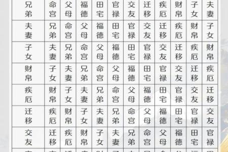 紫薇斗数正格